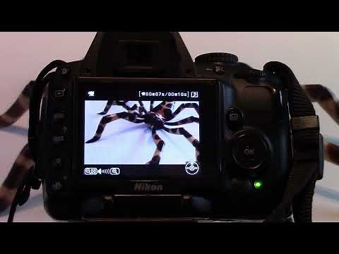 Filming using the the Nikon D5000 DSLR - Steve Pidd