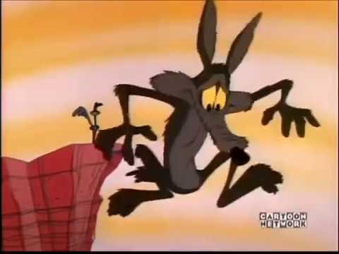 Wile E Coyote and Gravity