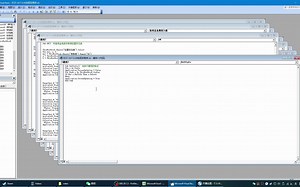 财务技能：EXCEL中VBA的应用