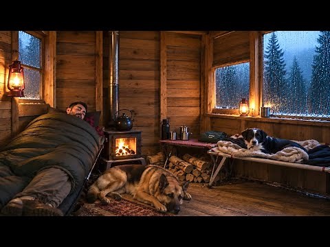 Camping With My Dog in an Abandoned Cabin During Heavy Rain