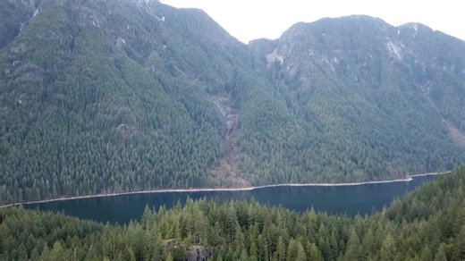 A little hike with the dogs today. Pine lake and Alouette Lake drone flying | George Lyons