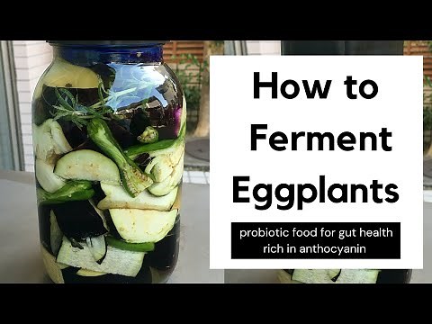 HOW TO FERMENT EGGPLANTS (AUBERGINE) | FERMENT WITH ME