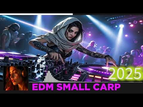 "The Best EDM Songs of All Time: A Playlist to Elevate Your Vibe!"