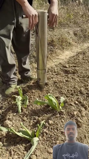 Seedling planting tool demonstration, easy to plant seedlings