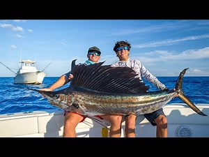 NOBODY Eats this fish... Catch Clean Cook (Sailfish)