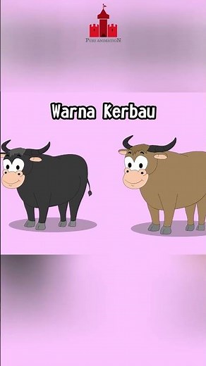 beda sapi dan kerbau