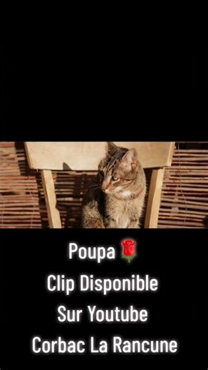 extrait du clip #Poupa - corbac la rancune #france #rapfrancais #video #clips #song