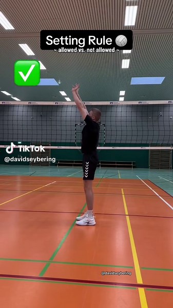 David Seybering on TikTok