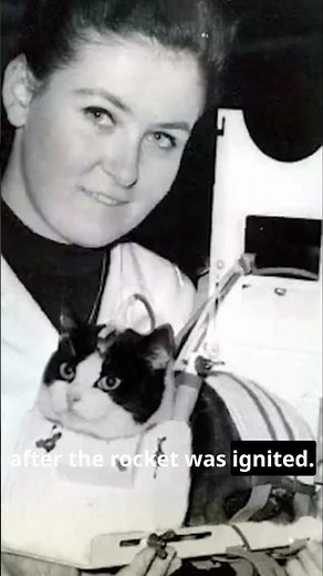 Remembering Félicette: The first cat in space #cat #history #space