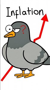 Inflation Explained by a Pigeon Part 2 #finance #money