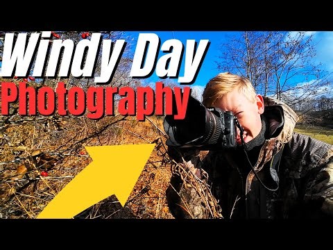 Landscape Photography | Nikon D7000