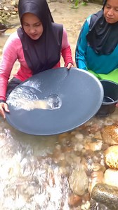 Wow,,!! What a hardworking woman with sharp pebbles to sift out the gold grains. #gold #goldenretriever #goldrush #reels #outdooradventure #PUREGOLD #golfing #goldprospecting #LoveNature大貓影視週 #reelsvideoシ #zumbalovers | Fitraal Pides