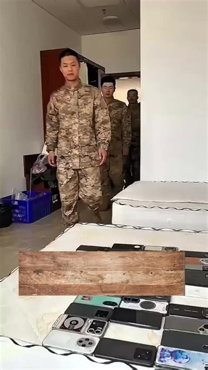 Curious Stories Through Animation