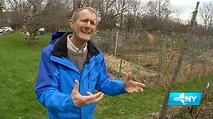 Community Gardens Are Historically Popular Across NYS