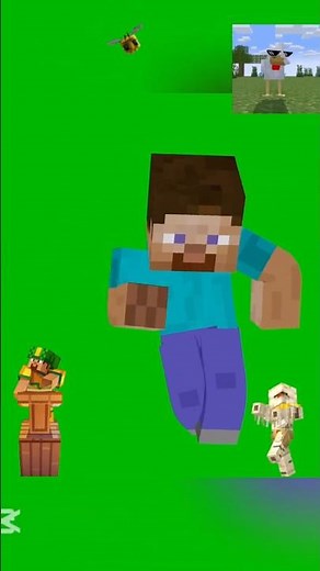 MINECRAFT | STEVE’s LAVA CHICKEN SONG 🎵