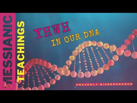 The Divine Code: YHWH Written in Our DNA 🧬🔬🎻