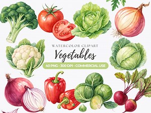 Watercolor Vegetables Clipart, Healthy Food PNG, Veggie Clipart, Farm Vegetables, Tomato, Broccoli, Corn, Onion, Commercial Use - Etsy