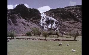 WATCH: Explore the flora and fauna of West Cork in this striking short film