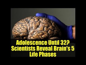 Adolescence Until 32? Scientists Reveal Brain's 5 Life Phases