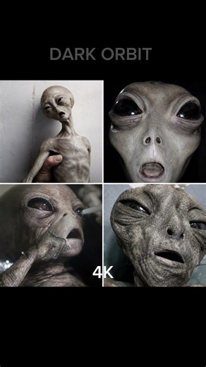 Alien Footage: 144p vs. 4K Quality Comparison! 👽