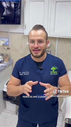 Heridas por mordedura en perros. ¿Cómo se tratan? En este caso tan grave decidimos utilizar injertos de piel de pescado para abordar a nuestro paciente 🙌🏼 La piel de tilapia tiene muchas propiedades para ayudar a proteger y cuidar una herida. Te contamos ☺️ #dogsoftiktok #veterinario #fyp #cirugiaveterinaria #mascotas #perros #tilapia #heridas