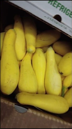 Fresh Produce from Local Farms