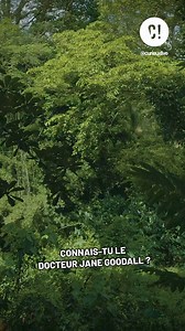 1.3K views | Une immersion spectaculaire à 360° dans la nature...