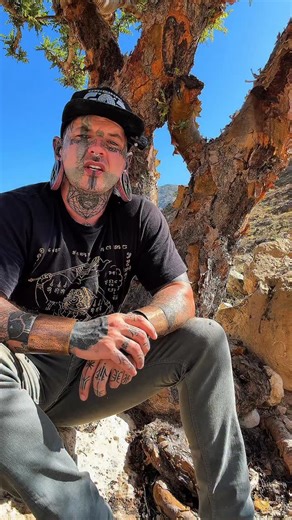 The SmokeWalkers on Instagram: "Distilling frankincense at night or in cooler air changes the chemistry of the run in a real measurable way. Cooler ambient temperatures increase the temperature differential between the vapor and the condenser which improves heat transfer and condensation efficiency. As vapor cools more gradually it becomes denser and moves more slowly through the system. That slower vapor speed allows heavier aromatic fractions to fully condense instead of being pushed through t