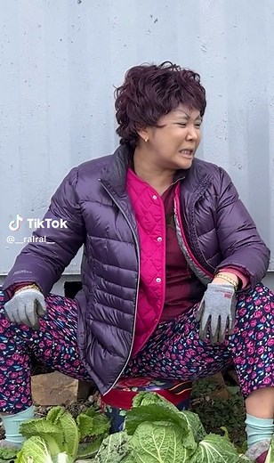 배추뽑기의 유쾌한 순간들 - 중년 아줌마의 일상