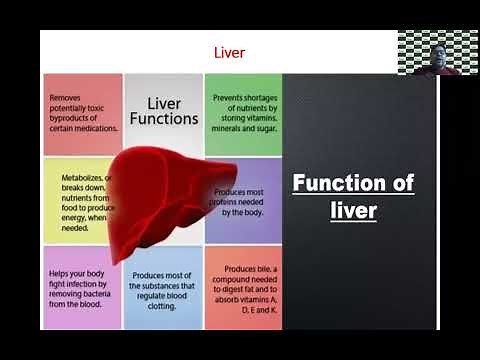 Session-3 of 4G Quantum magnetic Resonance Analyzer Machine Training