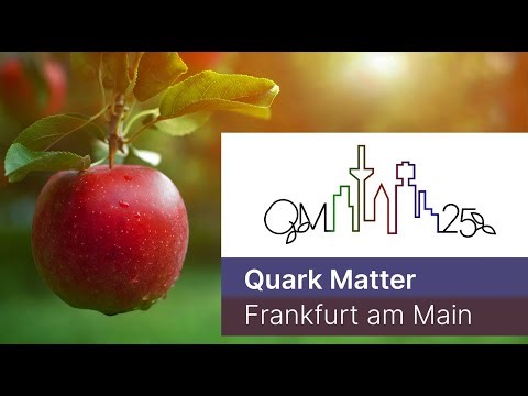 Quark Matter 2025