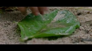 Sweetheart (2019) Feliratos