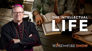 Friends, people have asked how I first got drawn into the life of the mind, or what my reading and writing habits are like. Well, in this episode of the "Word on Fire Show," we disucss those elements of the intellectual life, and I offer advice to aspiring intellectuals. A listener asks which literature books I would recommend for a Catholic high school English class. NOTE: Do you like this podcast? Become a patron and get some great perks for helping, like free books, bonus content, and more. W
