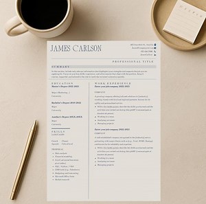 Modern Finance Resume Template – Editable Canva CV – Professional Layout - Etsy Australia