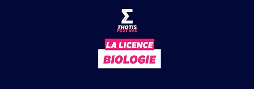 Licence de Biologie : pédagogie, matières et débouchés - Thotis