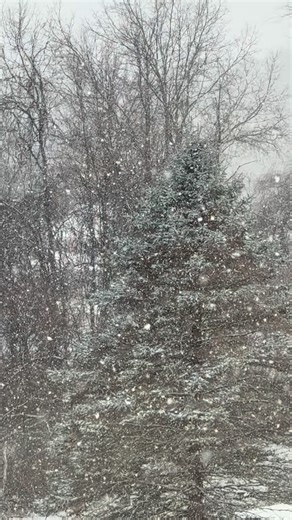 ❄️ Real Estate Tip Tuesday!!!!❄️💯💋 Snowstorm Edition: Don’t Ignore Winter Maintenance! With today’s snowstorm rolling in, it’s the perfect reminder that winter maintenance can impact your home’s value — and your future sale! 💡 Tip: Check your roof, gutters, walkways, and exterior drainage after heavy snow. Ice buildup, clogged gutters, and snow-packed walkways can cause long-term damage that buyers (and inspectors!) will notice. ⭐ Bonus Tip: Take before-and-after photos during storms. Showing