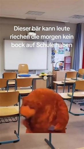 Funny School Memes for Students