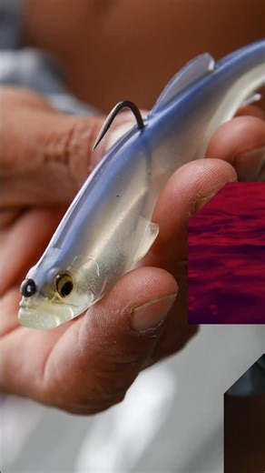 Megabass America on Instagram: "The MAGDRAFT FREESTYLE 5IN carries the same hard-thumping tail, signature head roll, and big-fish drawing power of the rigged version—refined into a compact profile that perfectly matches smaller forage. Built for versatility, the FREESTYLE adapts to a wide range of rigging styles, giving anglers the freedom to match any condition or cover. Whether swimming it through grass, crawling it along rock, or targeting suspended fish, the FREESTYLE 5IN delivers that unmis