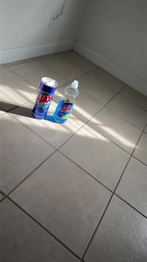 Effortless Cleaning with Ajax Wet Mop