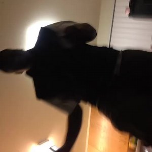 "You Aiint No THEIF" w/ Batman Jackson 😂😂😂😂 #caligang