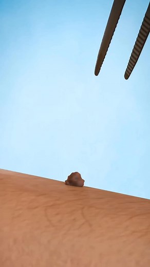 1.3M views · 10K reactions | Amazing Science facts... #facts #interestingfactsforyou #sciencefactshindi #exploremagicofscience #explorepagereels | Factopedia | Facebook