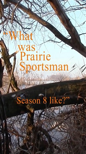 What Was Season 8 Like?