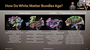 Data driven interference in diffusion MRI- DL harmonization of quantitative brai