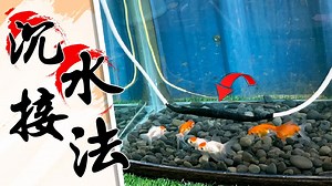 宅水电 - 绝对不漏电的沉水接法!!! 除了防水胶布之外还有哪些重要步骤｜How To Make A Waterproof Wire Joint｜DIY实作｜