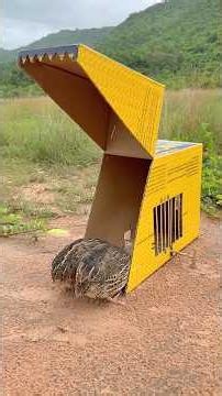 Fantastic DIY Quick Quail Trap Using Cardboard Box #shorts