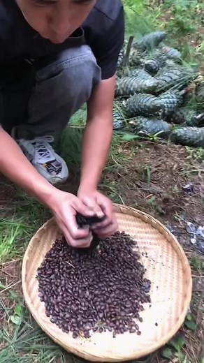 Ideal life on TikTok