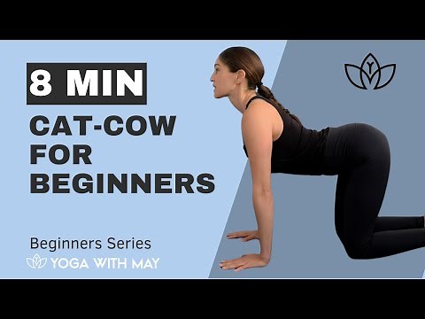 How to do Cat-Cow Yoga Pose - Yoga for Beginners