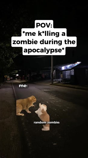 Catmemeshorts on Instagram: "CAR MEMES 😺 When you kill a zombie during apocalypse #relationships #catmemes #relatable #halloween #zombie"