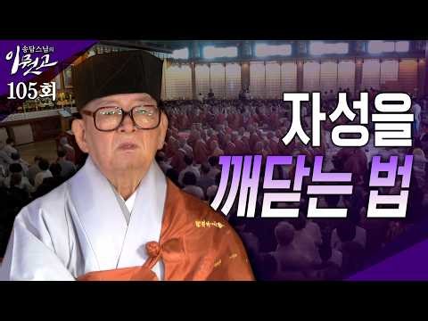 자성을 깨닫는 법 |송담스님의 이뭣고 105회(전체영상) #송담스님 #간화선