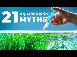 21 Aquascaping Myths Explained | Planted Aquarium Guide